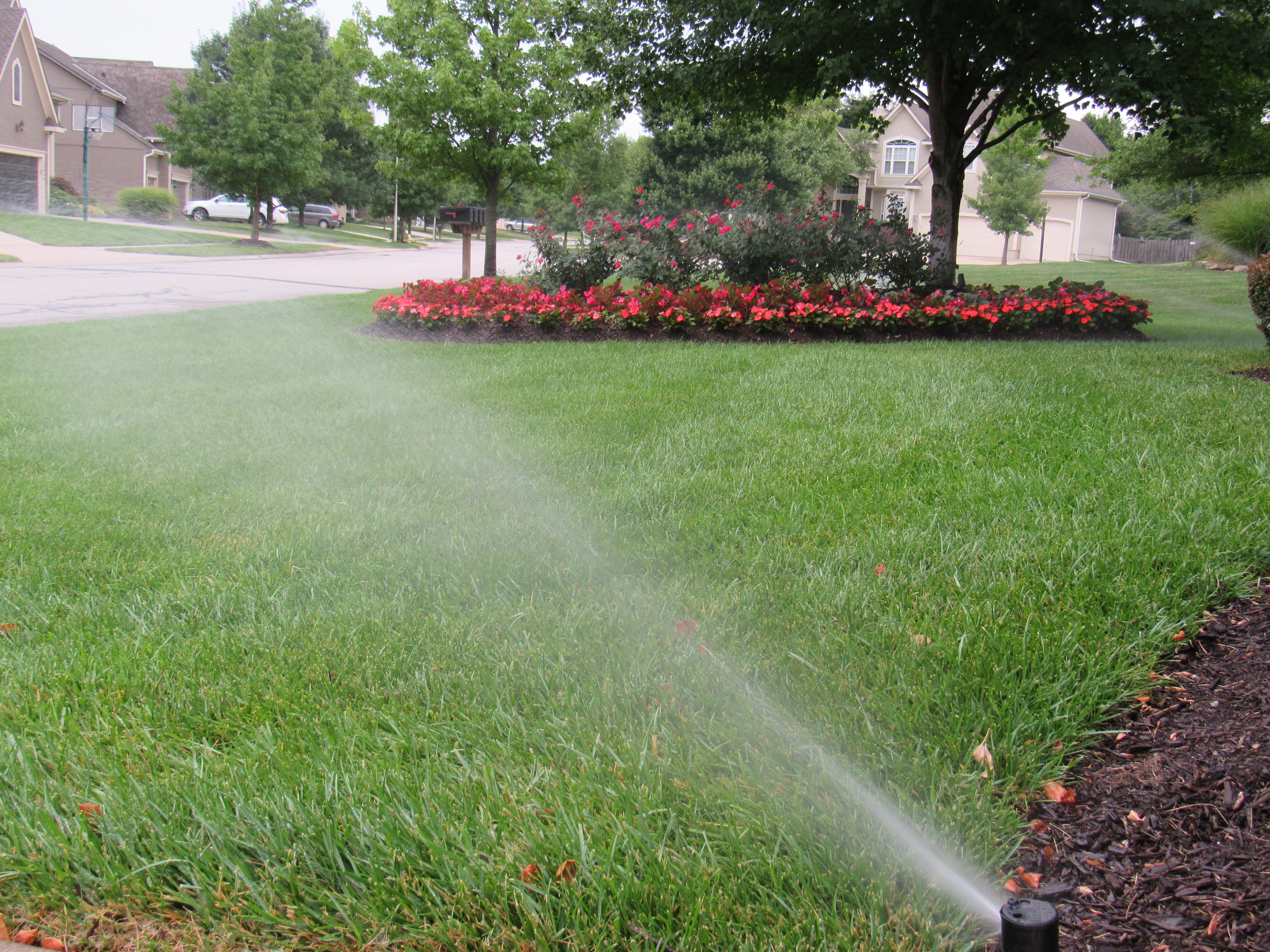 Lawn care services in Overland Park Irrigation system service Irrigation system repair Custom turf applications