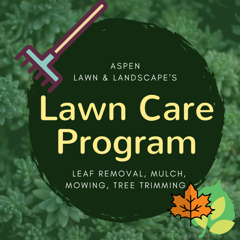 Leaf Removal Service in Kansas City