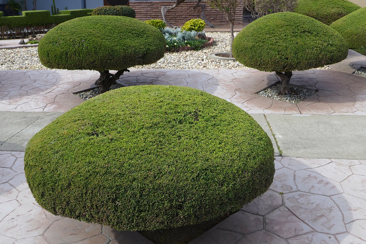 O Fallon, MO Landscaping from $29 - #1 Landscapers - Best of 2021