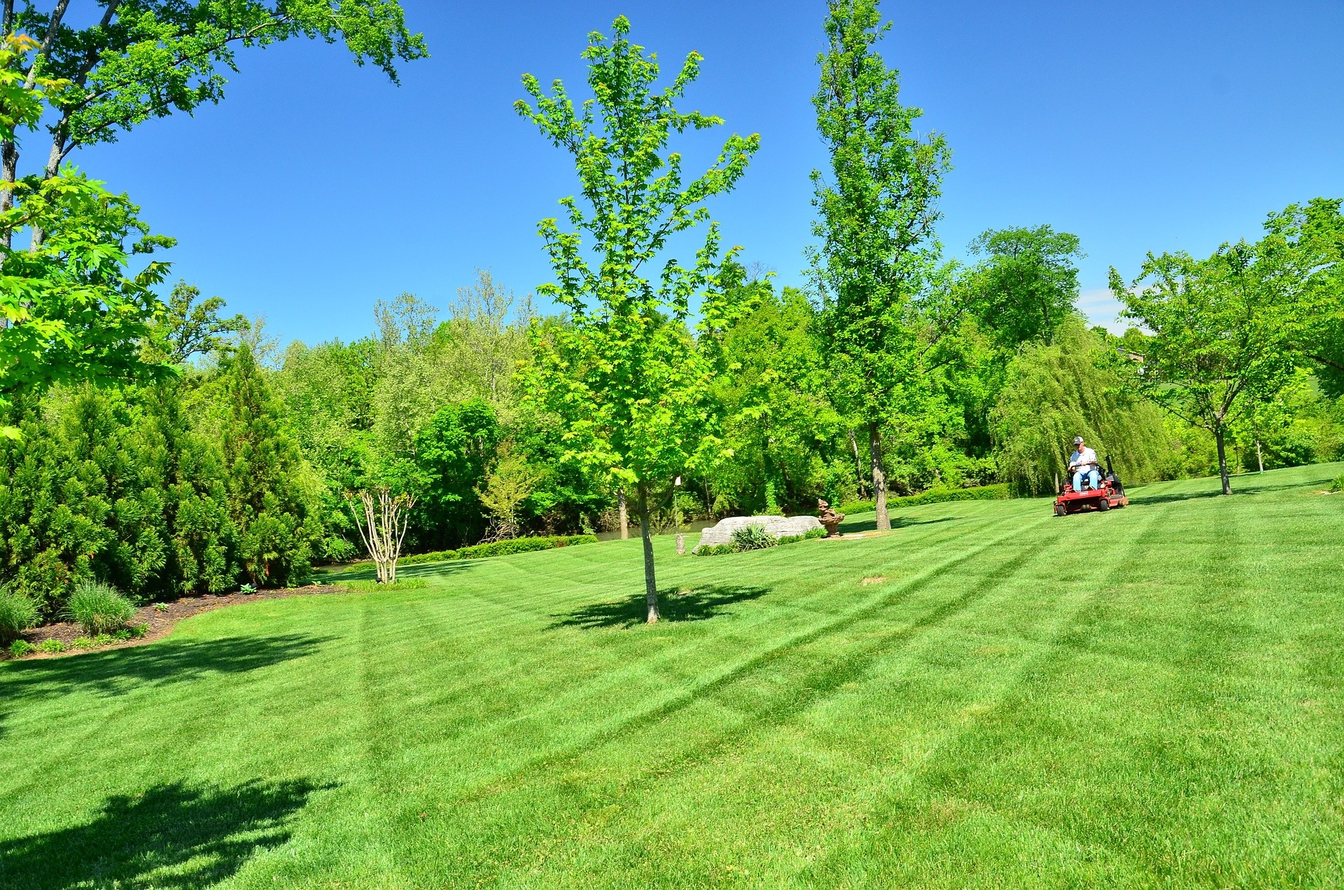 lawn fertilizer services overland park, Kansas city, leawood 