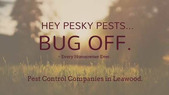 Pest Control Companies in Leawood