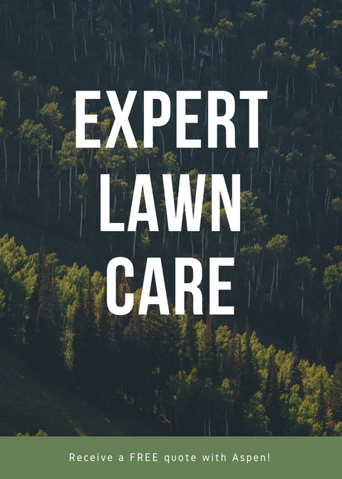 Landscaping Company in Overland Park
