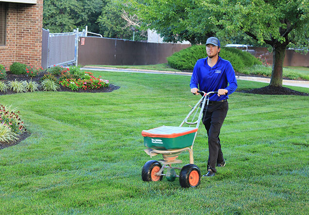 Lawn seeding service in Overland Park
