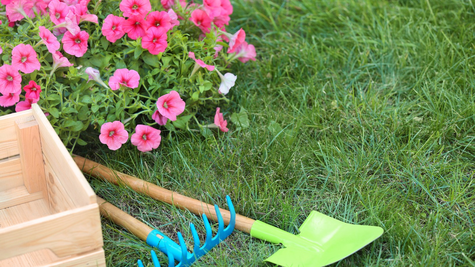 Overland Park Lawn Care Company