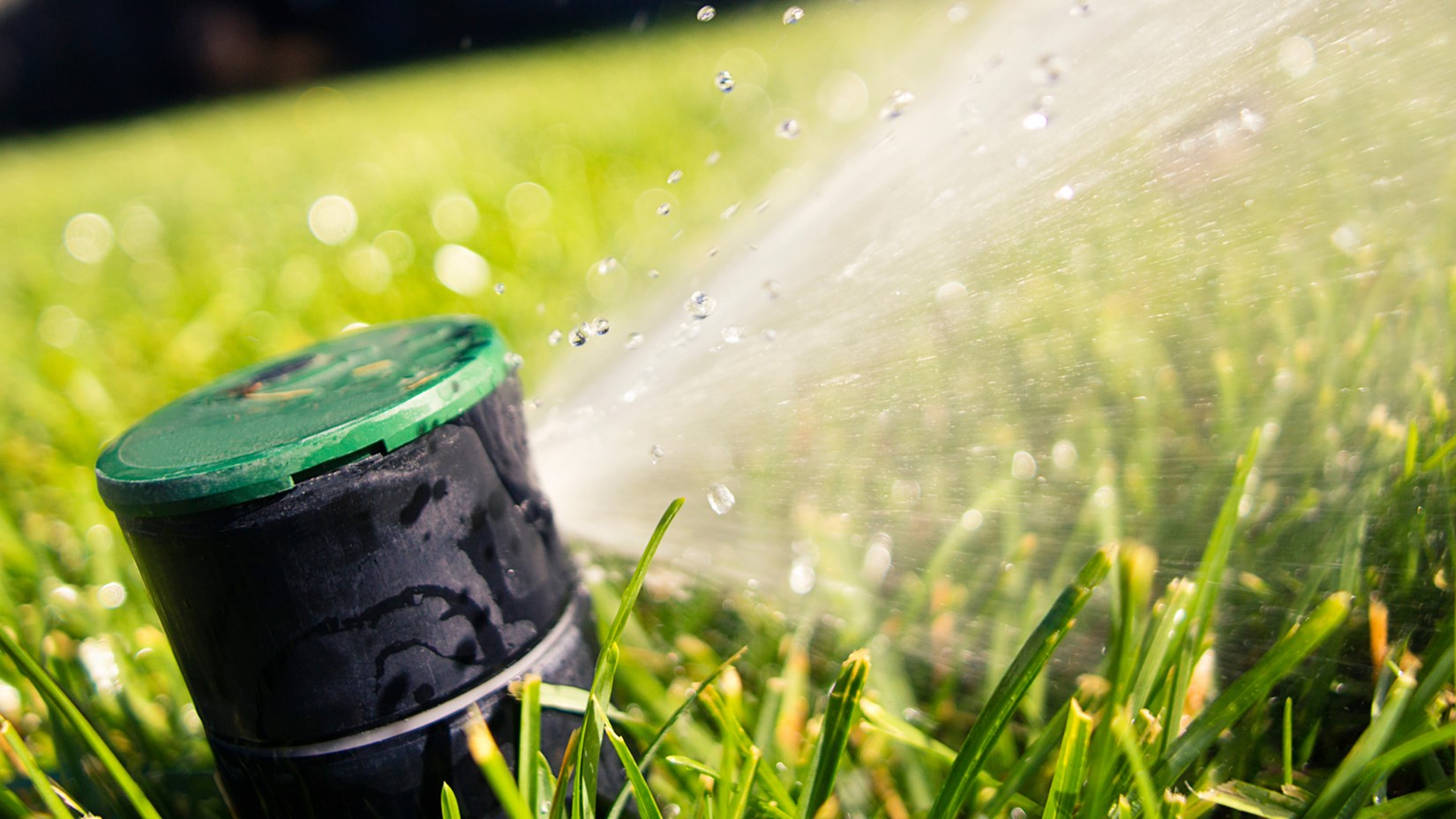 Sprinkler Service in Overland Park