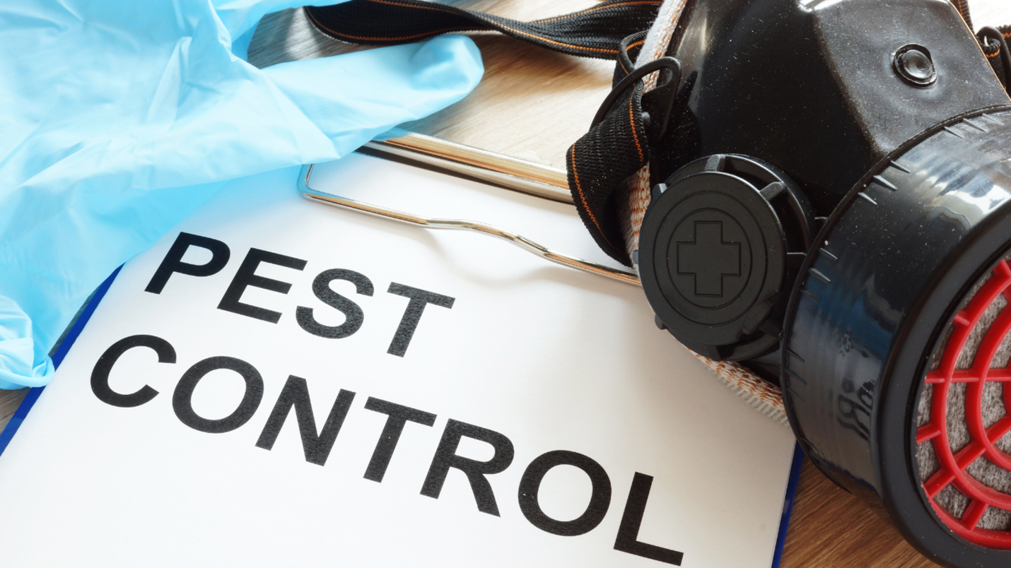 Pest Control in Overland Park