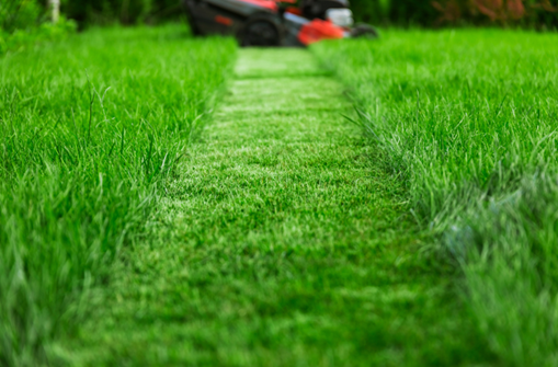 Lawn Care Company in Overland Park