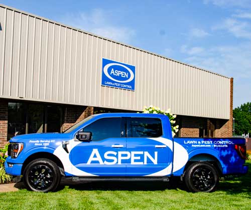 aspen-ford-500w