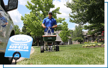 lawn-care-fertilization