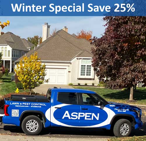 aspen-truck-winter-special