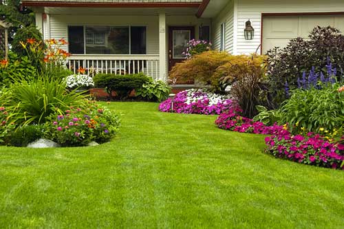 manicured-lawn-img