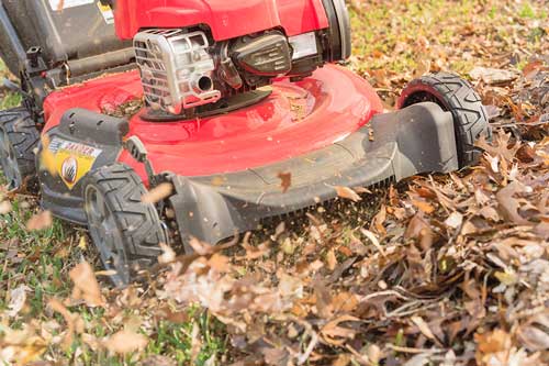 mulch-leaves-on-lawn-image