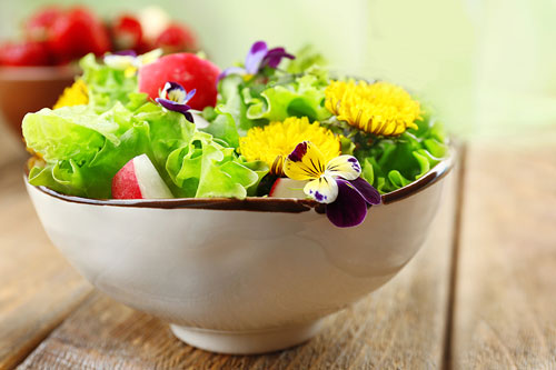 eat-dandelion-nutrition